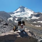 Jason Dedrick - @swissmister17 - Instagram
