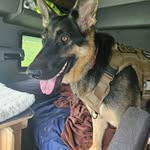 Jason DeGroot - @jdegroot1974 - Instagram
