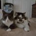 Jason Demeter - Facebook