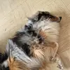 Jason Denis - @jason.denis8 - TikTok