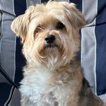 Jason Denner - @denner.jason - Instagram