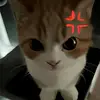 jason - @jason_deo - TikTok