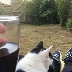 Danny Hawes - @jason.derry.908 - Instagram