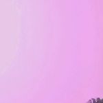Jason - @jasonderry223 - Instagram