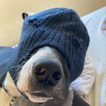 @jason_devaney862 - Instagram