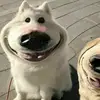 Jason Devaney - @jason.devaney2 - TikTok