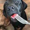 jasondevaughn - @jason.devaughn - TikTok