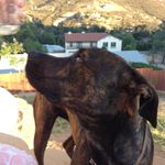 Jason devlin - @jdevlin30 - Instagram