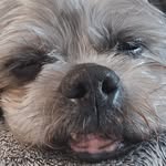 Jason DeVries - @devries9021 - Instagram