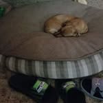 Jason Dewees - @jason.dewees.336 - Instagram