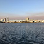 Jason Dibs - @jason.adibb - Instagram