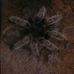 Jason Dierolf - Facebook