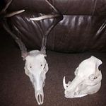Jason Diller - @diller.jason - Instagram