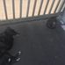 Jason Dillehay - Facebook