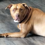Jason Dingler - @jay10033 - Instagram