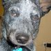 Jason Doane - Facebook
