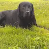 Jason O'Donnell - @jason.odonnell0 - TikTok
