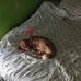 Jason Doolittle - Facebook