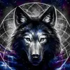 jasondoolittle58 - @jasondoolittle58 - TikTok