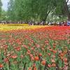 jason.dorian28 - @jason.dorian28 - TikTok