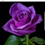jasondorough - @jasondorough1603 - Instagram