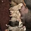 Jason Dougherty - @jason.dougherty0 - TikTok