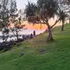Jason Downes🇭🇲 - @jason.downes - TikTok