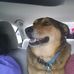 Jason Downs - Facebook