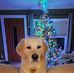 Jason Dreger - Facebook