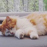 Jason Dube - @jasonbird2020 - Instagram