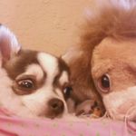 jason dube - @jaylizz1 - Instagram