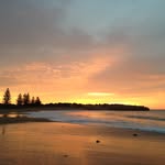 Sole - @jasonduffield - Instagram
