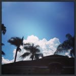 Jason...duh - @jason_is - Instagram