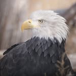 John Jason Durfee - @john.j.durfee - Instagram