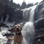 Jason Dwight - @jasondwight924 - Instagram