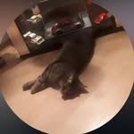 Jason Ebert - @thedravalosky - Instagram