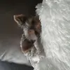 Jason Ebert - @max.jason09 - TikTok