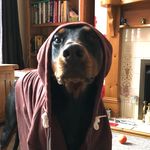 Jason Eccles - @jason.eccles1 - Instagram