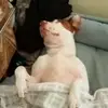 jason - @jason.egan2021 - TikTok