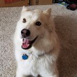 Jason Eichenlaub - @themisterike - Instagram