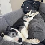 Jason Eisenhauer - @jseisenhauer - Instagram