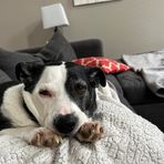 Jason Eisenhauer - Facebook