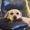 Jason Elder - @jason.elder2 - TikTok
