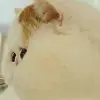 Jason Eli - @jason.eli3 - TikTok