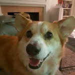 Jason - @jasoneli - Instagram