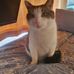 Jason Elia - Facebook