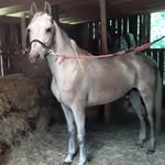 Jason Elkins - @jason.elkins.923 - Instagram