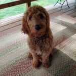 Jason Elkins - @jason.elkins.399 - Instagram