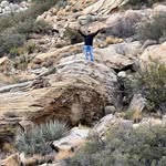 Jason Elkins - @jasonelkins3 - Instagram