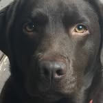 Jason Kelsey - @jasonkelsey3194 - Instagram